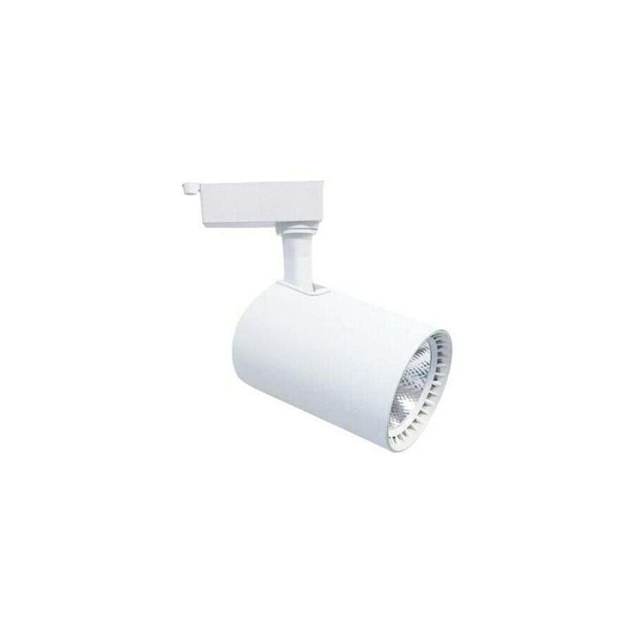 CT-5333 Babil Ray Spot, Beyaz Kasa 30W 6500K Beyaz